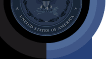 The Department of Defense Shield
